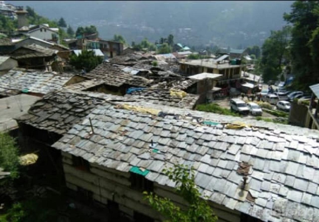 Himalayan