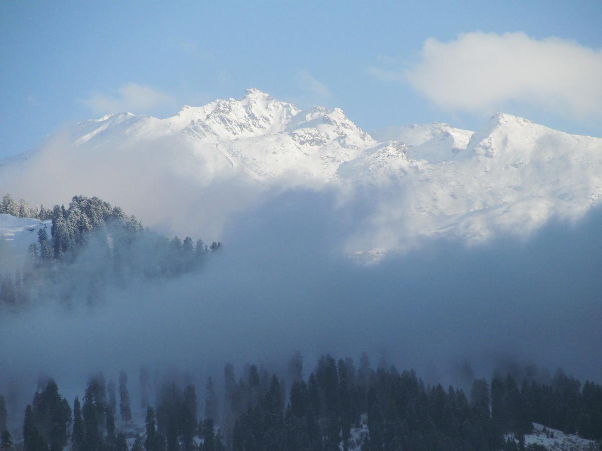 Manali Top Inn 2*