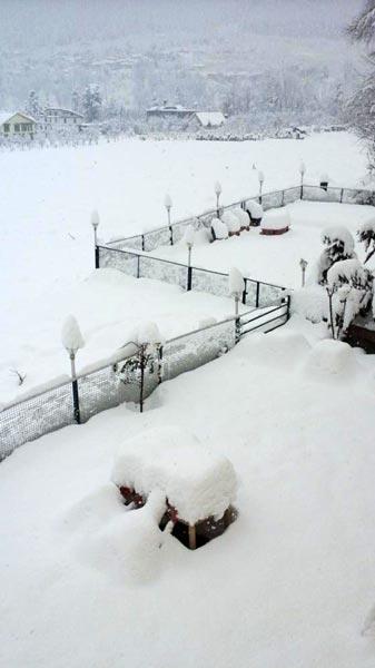 Mountain Hotel Manali (Himachal Pradesh)