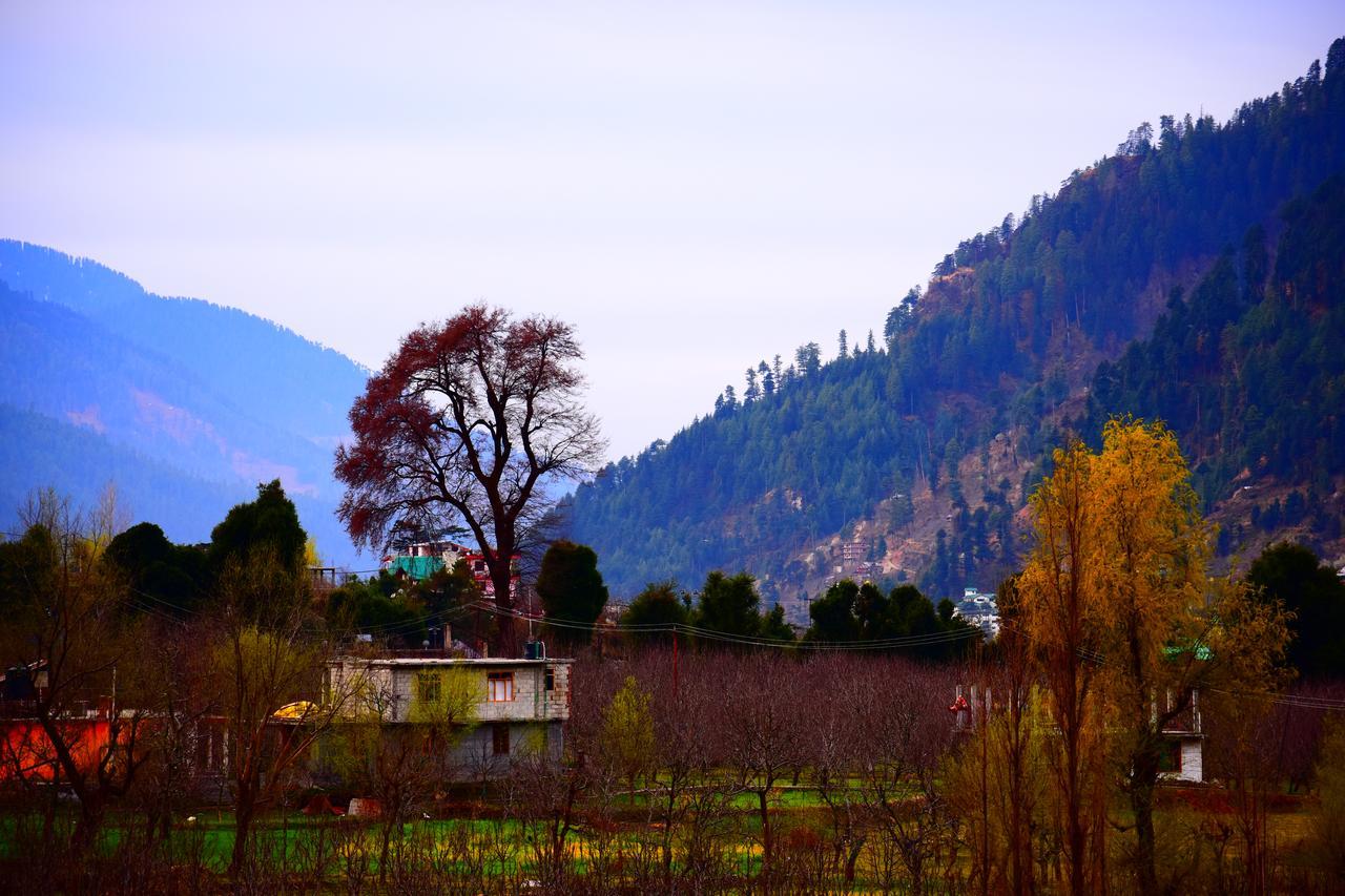 Hotel Mountain Manali (Himachal Pradesh)