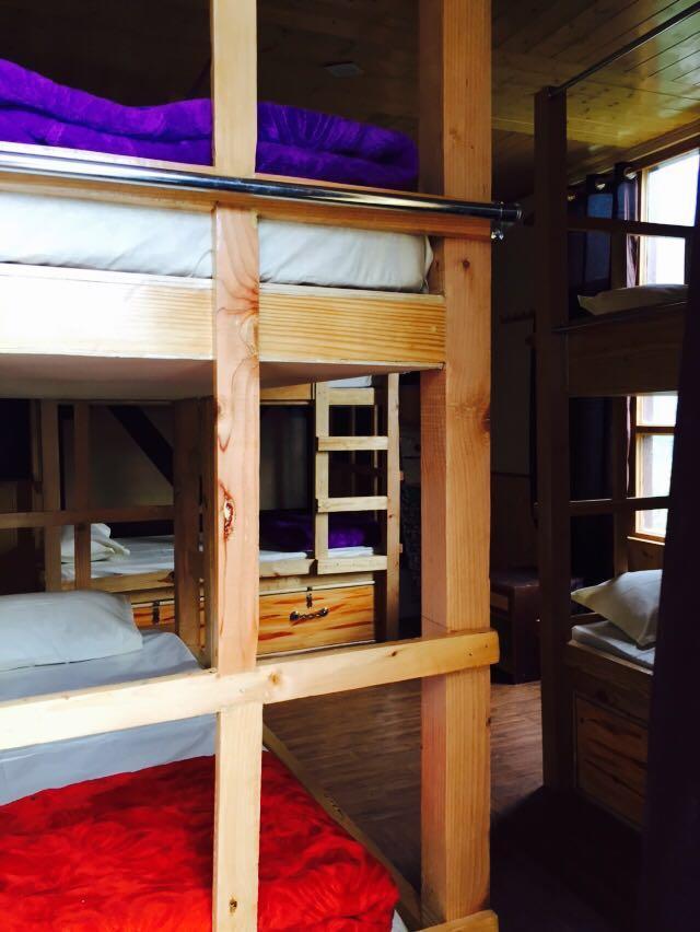 The Lost Tribe Hostels *