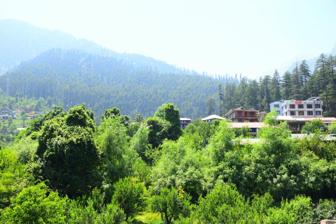 Suraj Hotel Manali (Himachal Pradesh)