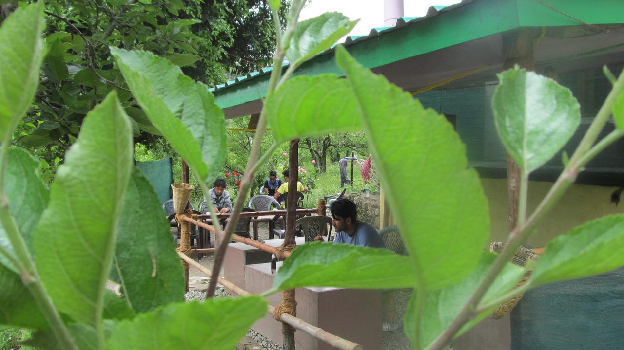 Guest house Manali Top Inn