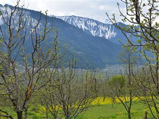 Gezellig - Tree Hill & Kanyal Lodge
