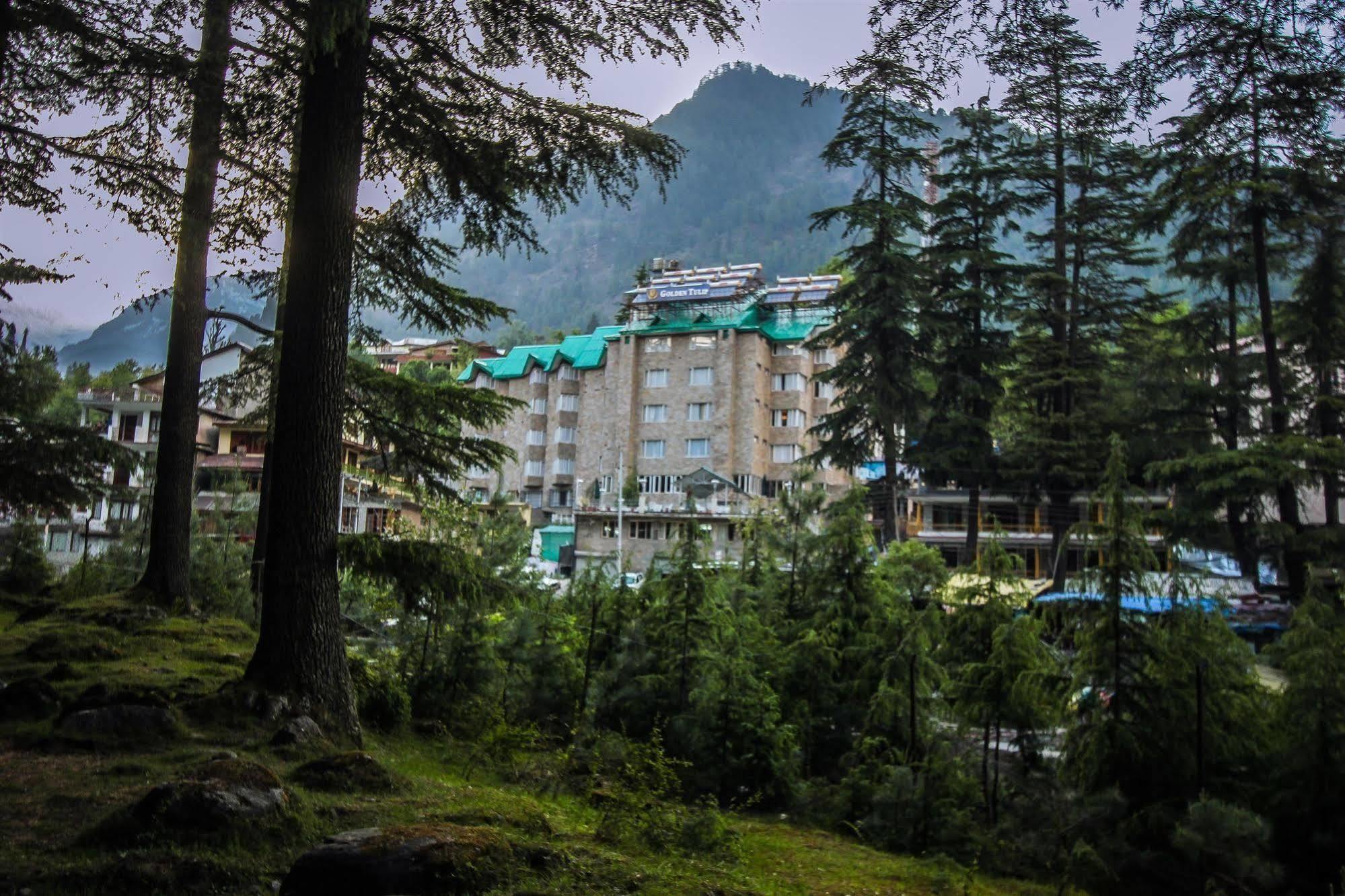 Golden Tulip 3*