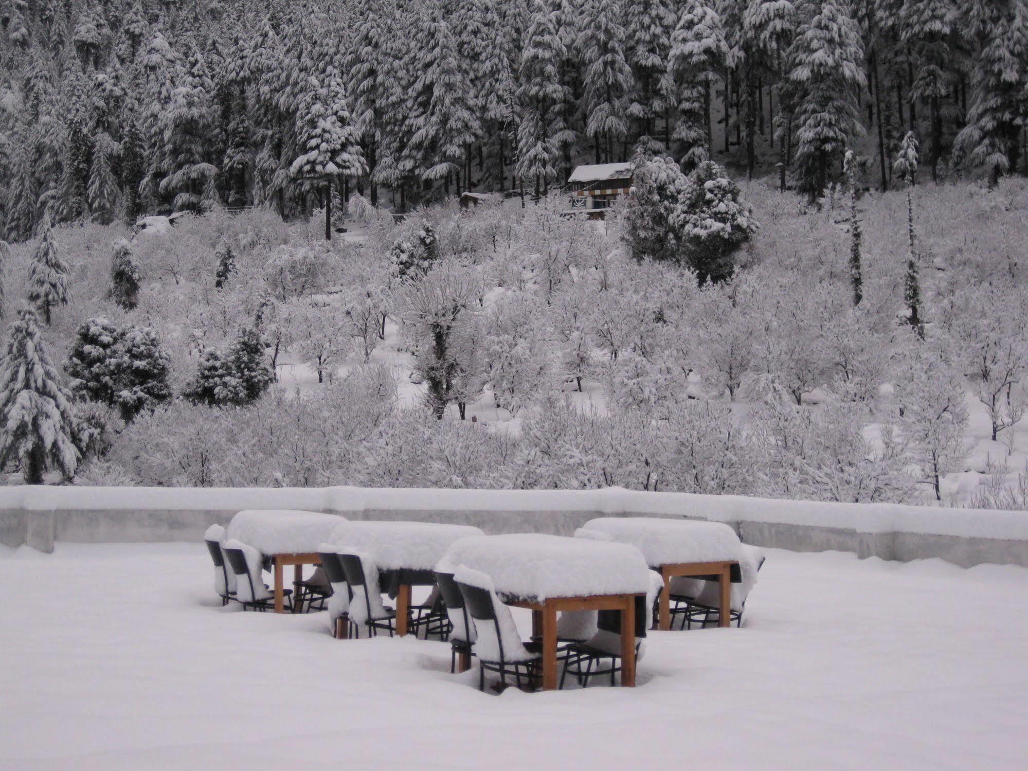 Sarthak Resorts-reside In Nature With View, 9 Kms From Mall Road Resort
