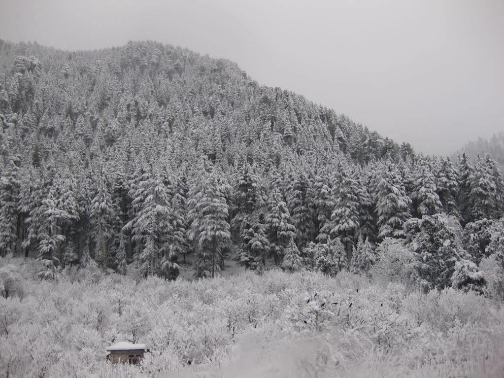 Sarthak Resorts-reside In Nature With View, 9 Kms From Mall Road Resort 3*