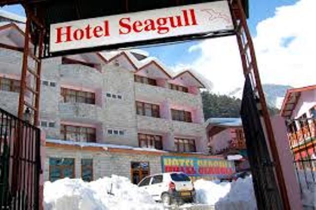 Hotel Seagull Hotel Manali (Himachal Pradesh)
