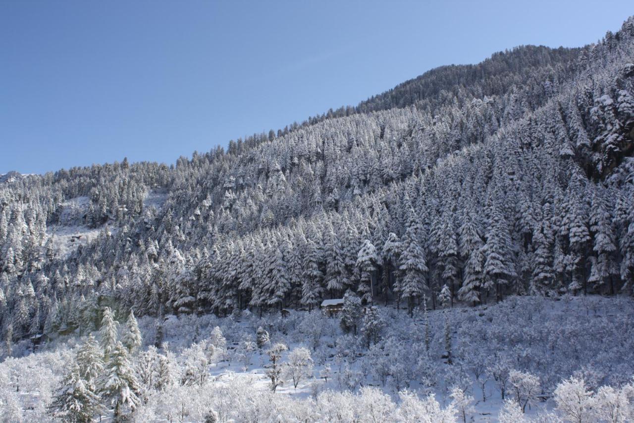 Sarthak Resorts-reside In Nature With View, 9 Kms From Mall Road 3* Manali (Himachal Pradesh)