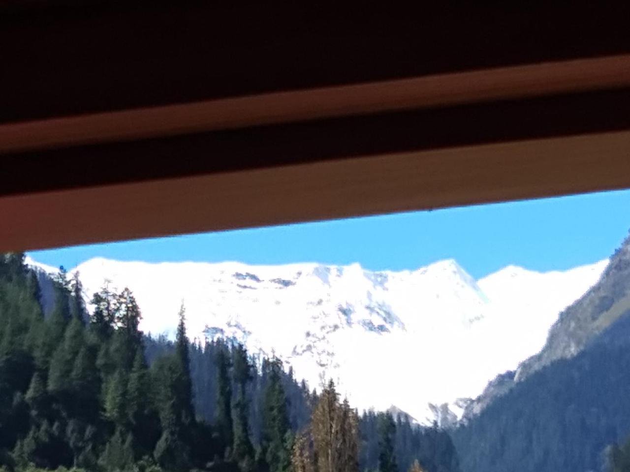 Giriraj Paying * Manali (Himachal Pradesh)