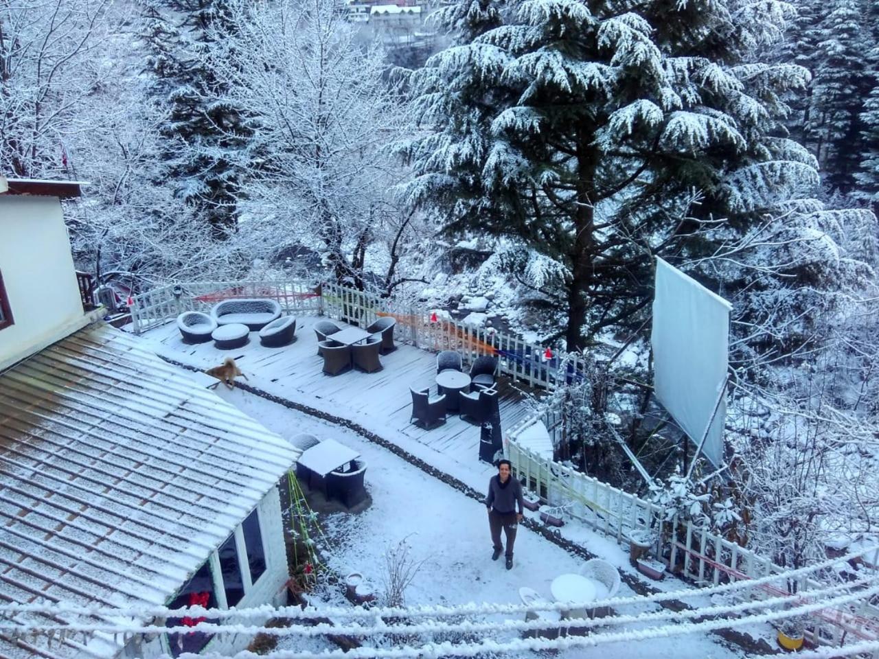 Resort Sashas Manali (Himachal Pradesh)