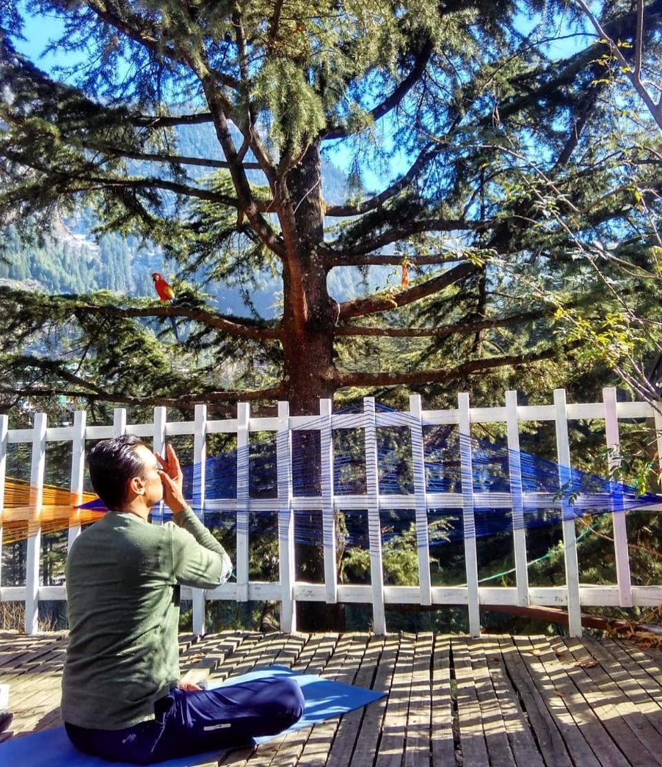 Sashas Manali (Himachal Pradesh)