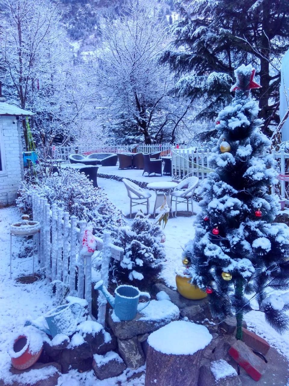 Sashas Manali (Himachal Pradesh)