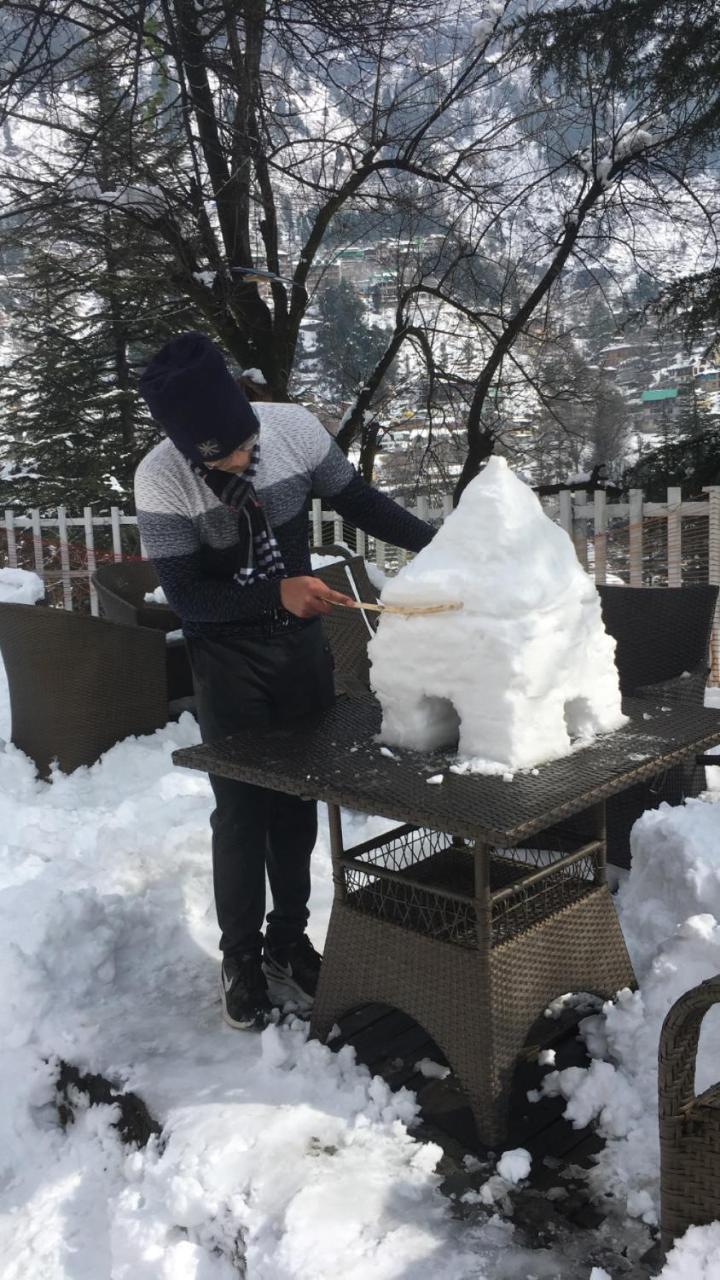 Resort Sashas Manali (Himachal Pradesh)