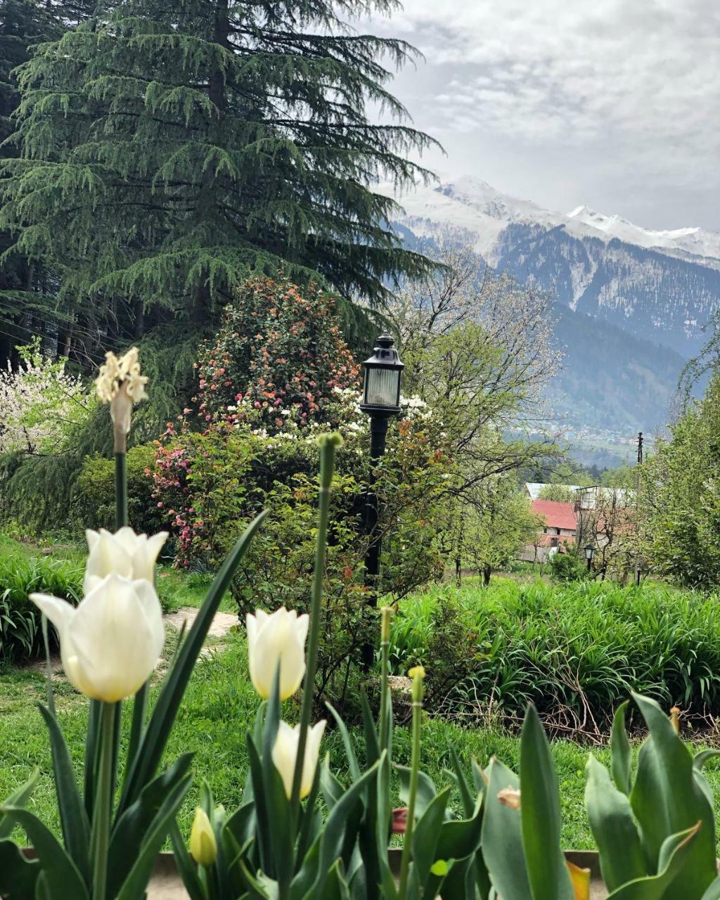 Hotel John Banon's Manali (Himachal Pradesh)