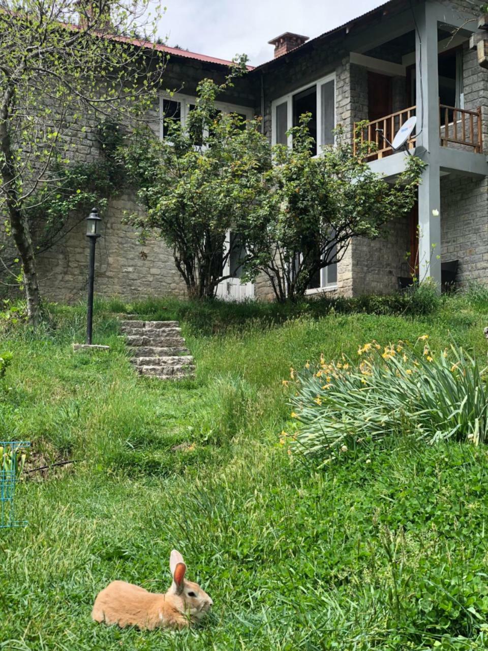 Hotel John Banon's Manali (Himachal Pradesh)