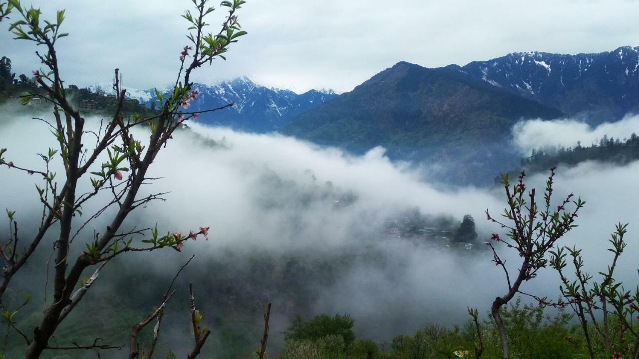 Hostel Possiville Manali (Himachal Pradesh)