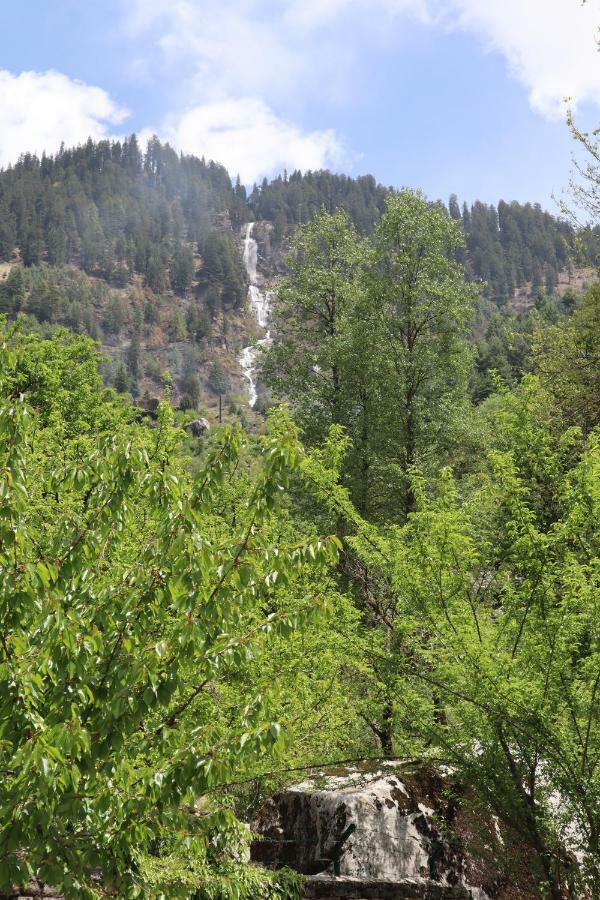 Snow River, Hotel 3*