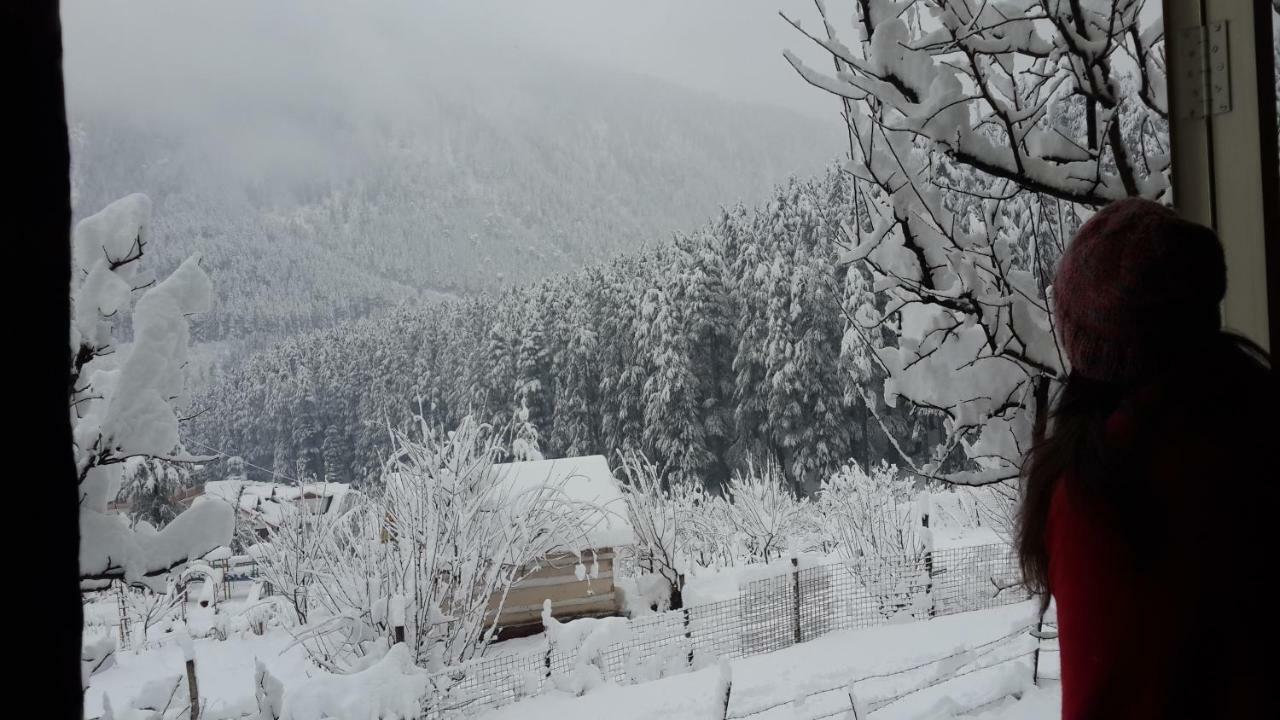 Resort Sparsh