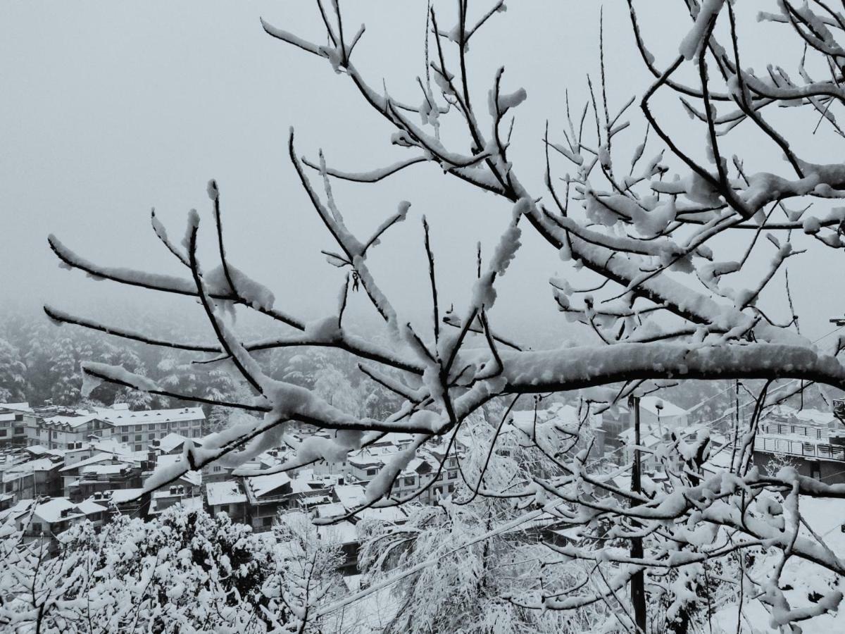 Ambika Bliss Manali (Himachal Pradesh)