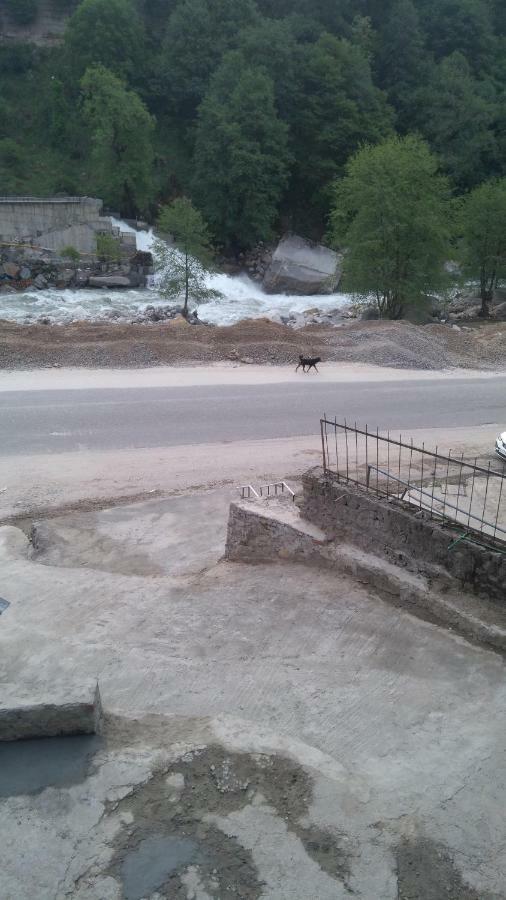 Sourabh Manali (Himachal Pradesh)