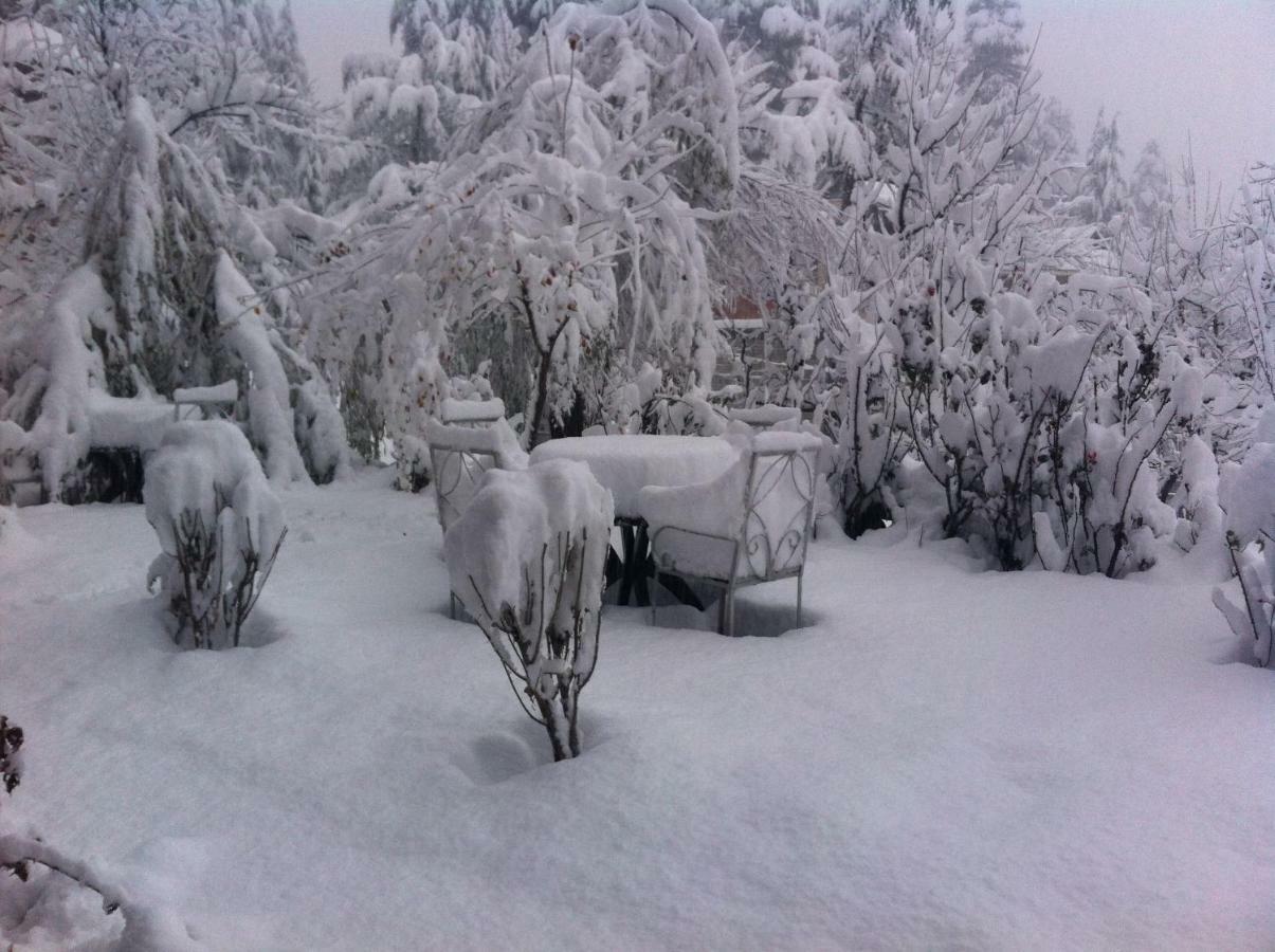 Sparsh Resort Manali (Himachal Pradesh)