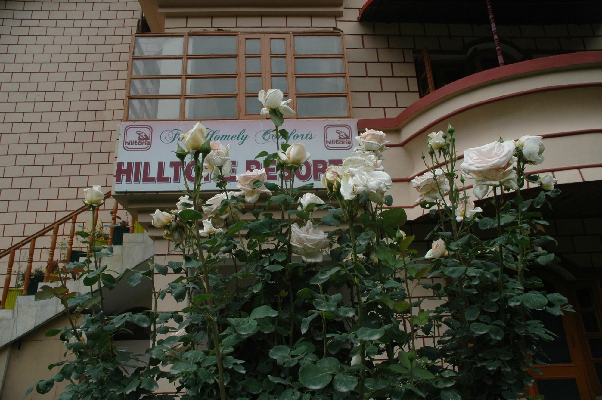 Hilltone & Hotel 3*