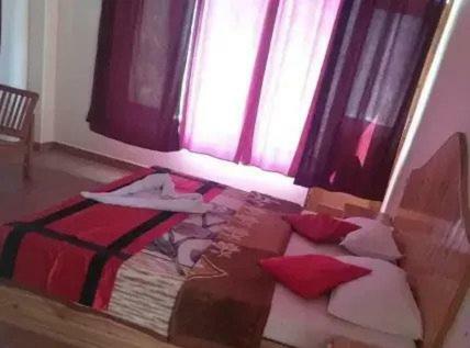 Apple Hostel *