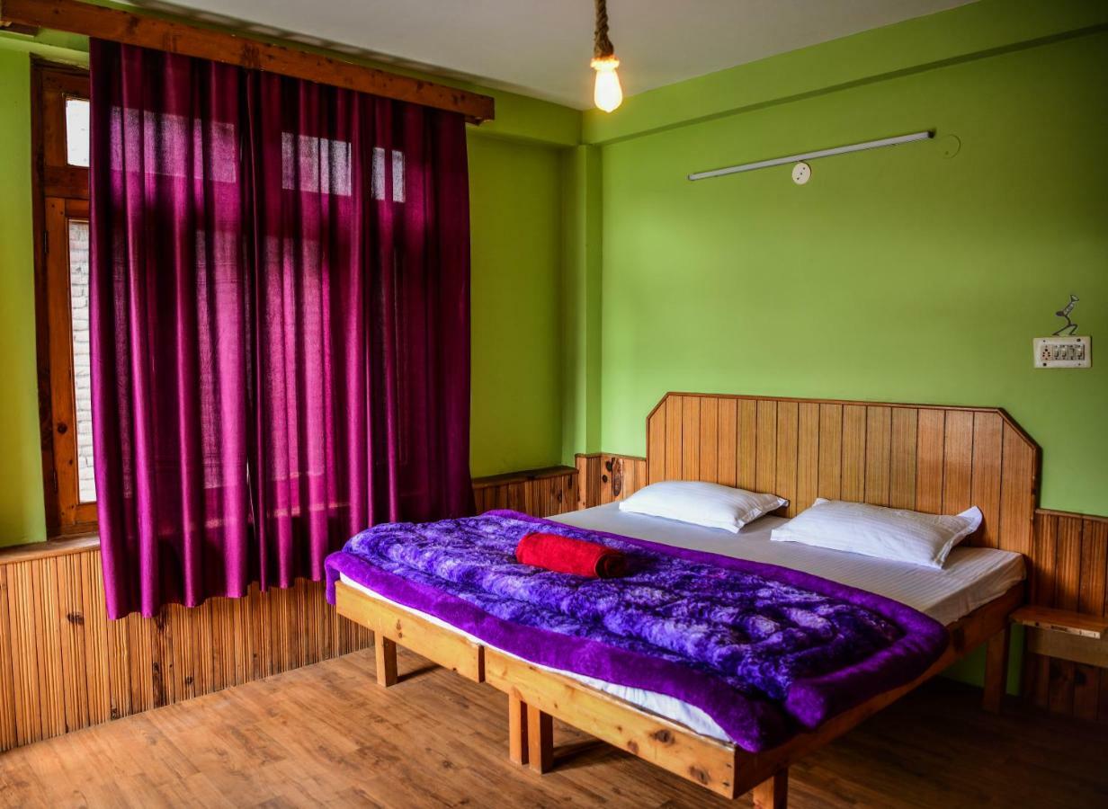 The Professors Hut Guest house Manali (Himachal Pradesh)