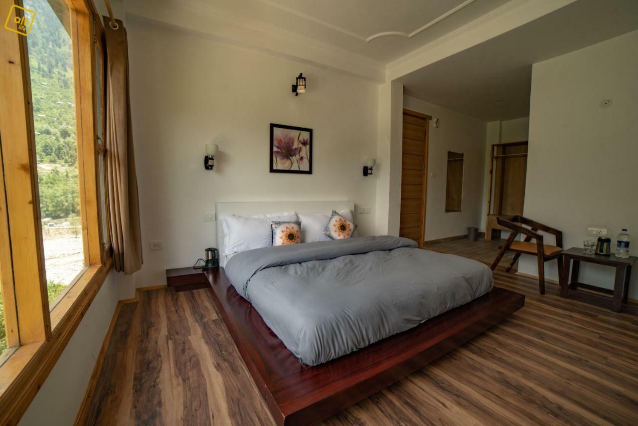 Alt Life - Hostel