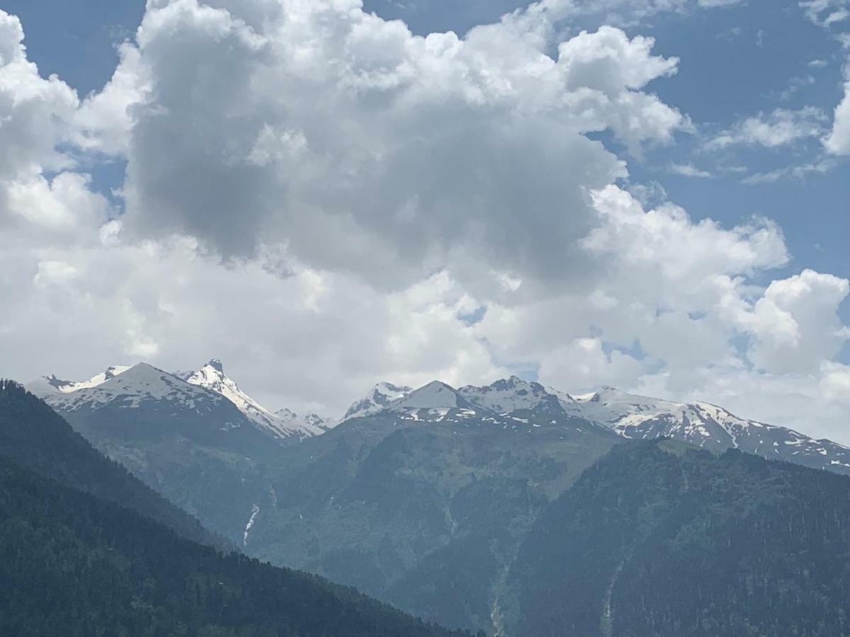 Resort Orchard Retreat Manali (Himachal Pradesh)