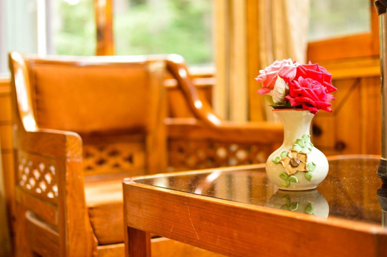 Hotel Mountain Manali (Himachal Pradesh)