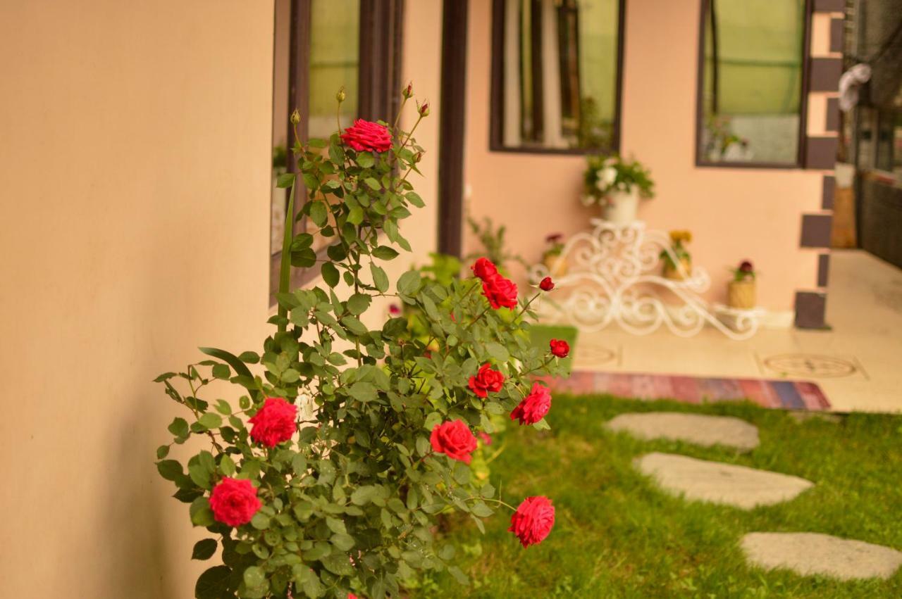 Hill House -a In Mountains Bed & Breakfast Manali (Himachal Pradesh)