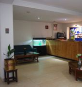 Rising Star Resort Manali (Himachal Pradesh)