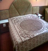 Beas View 3* Manali (Himachal Pradesh)