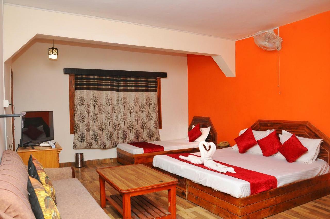 Central View Hotel Manali (Himachal Pradesh)