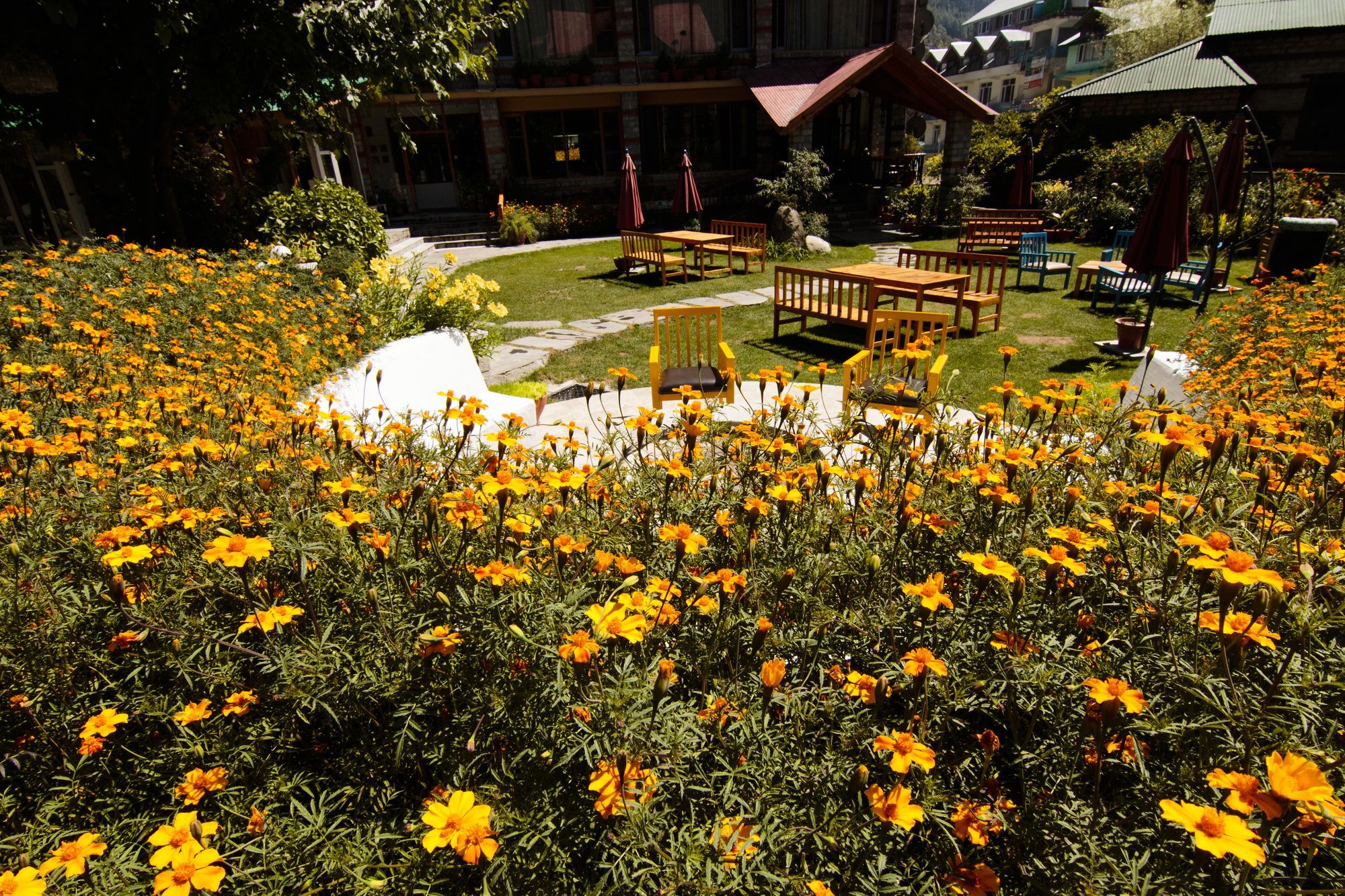 Johnson & Hotel Manali (Himachal Pradesh)