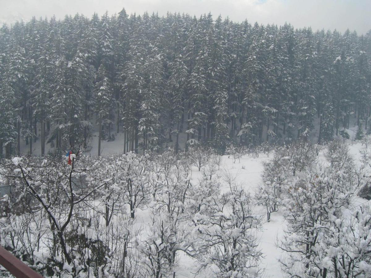 Resort Snow Valley &