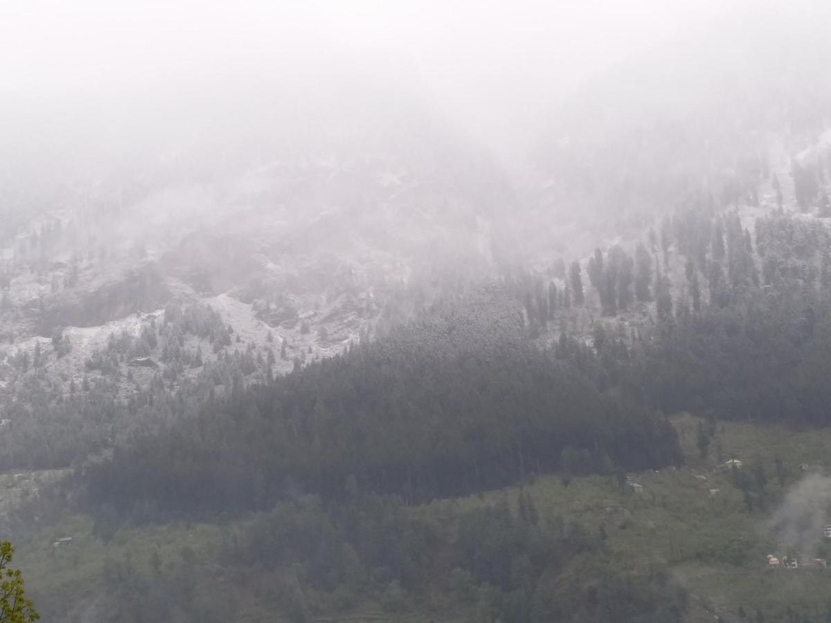 Seven Hills 3* Manali (Himachal Pradesh)