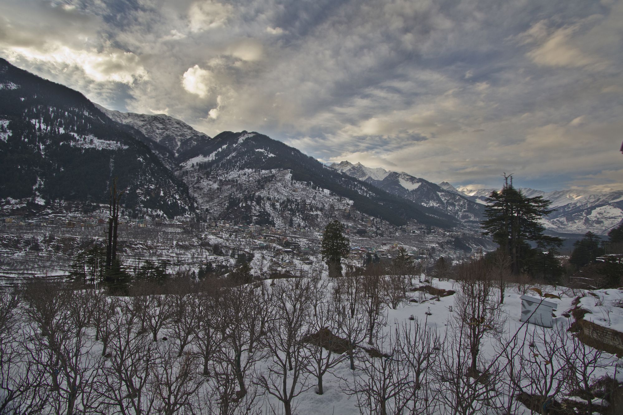 Mountain Face Manali (Himachal Pradesh)