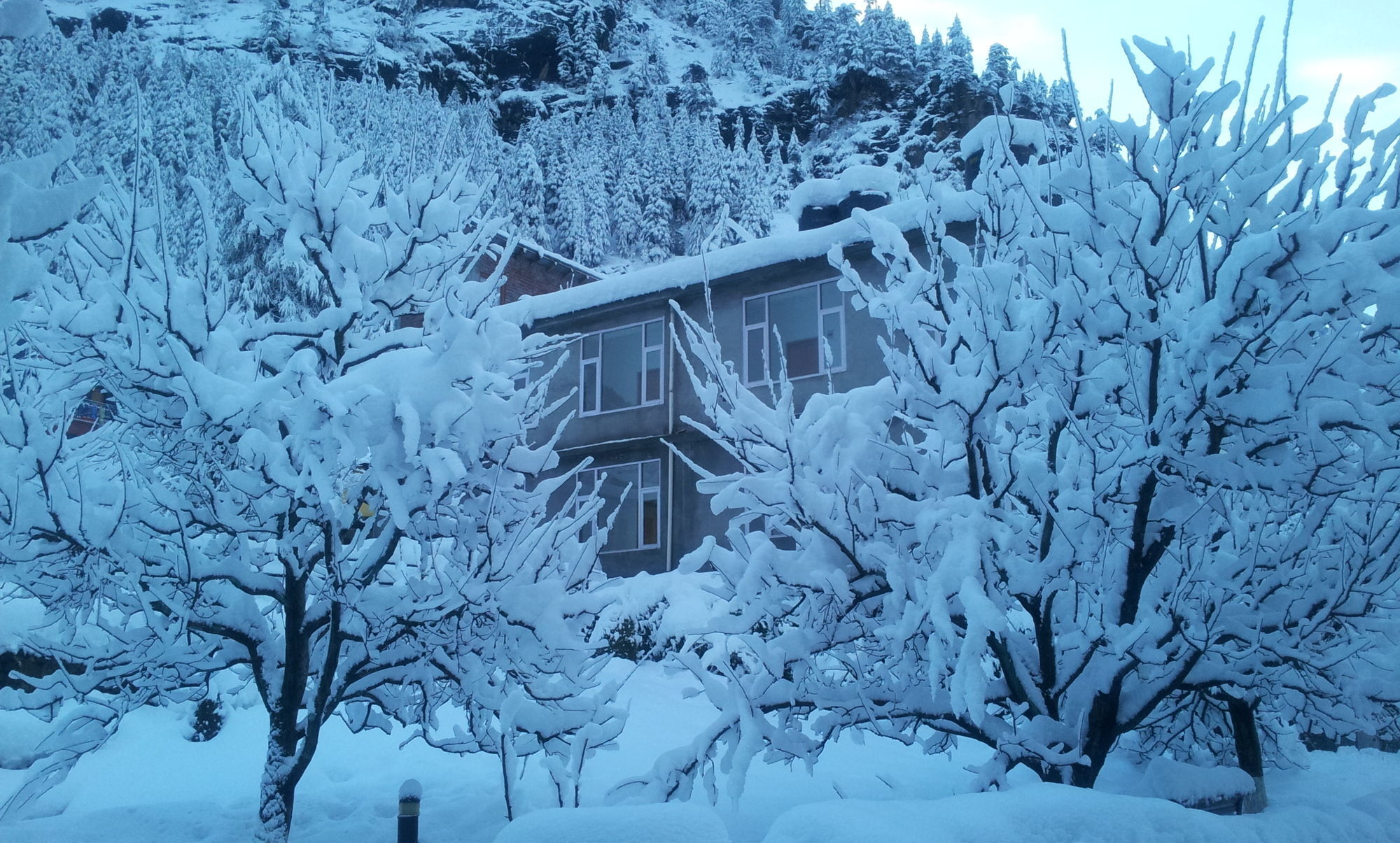 Hotel Honeymoon 3*
