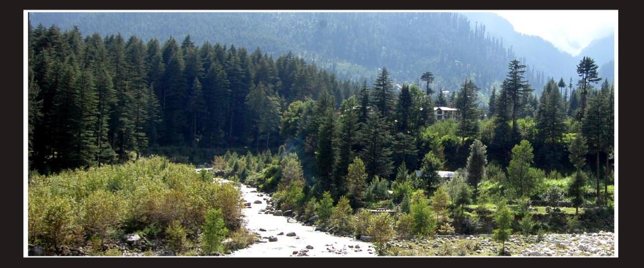 D'chalet Manali (Himachal Pradesh)