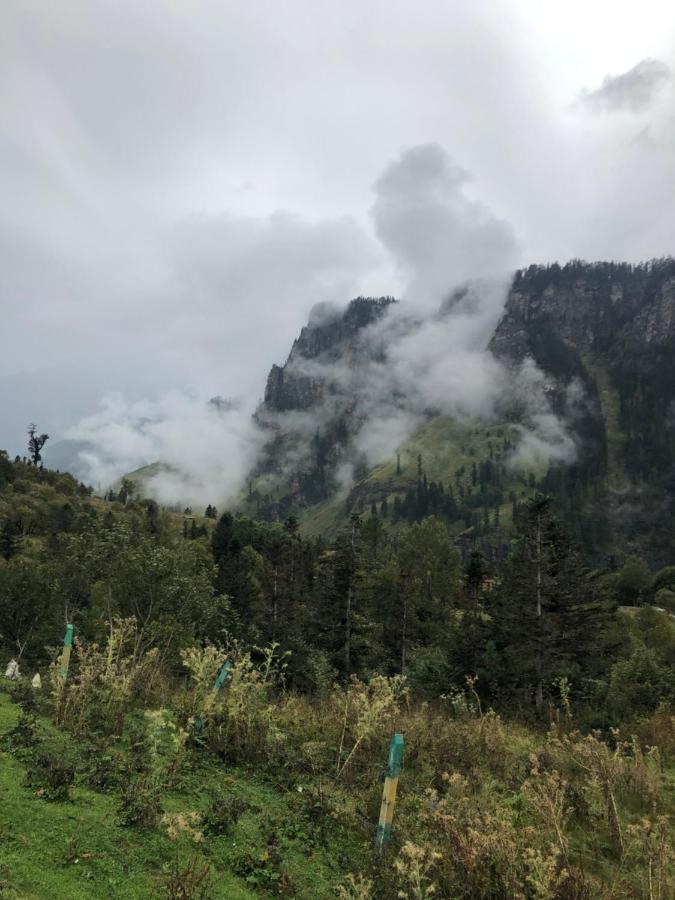 Abys Hut