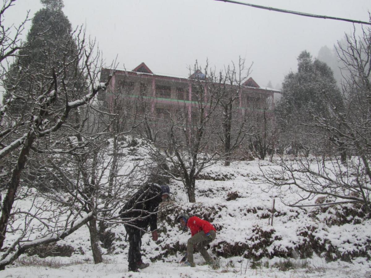 Guest house Manali Top Inn 2*