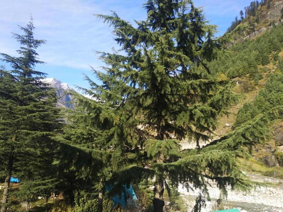 Nehru Kund Heights By Jitainn Manali (Himachal Pradesh)