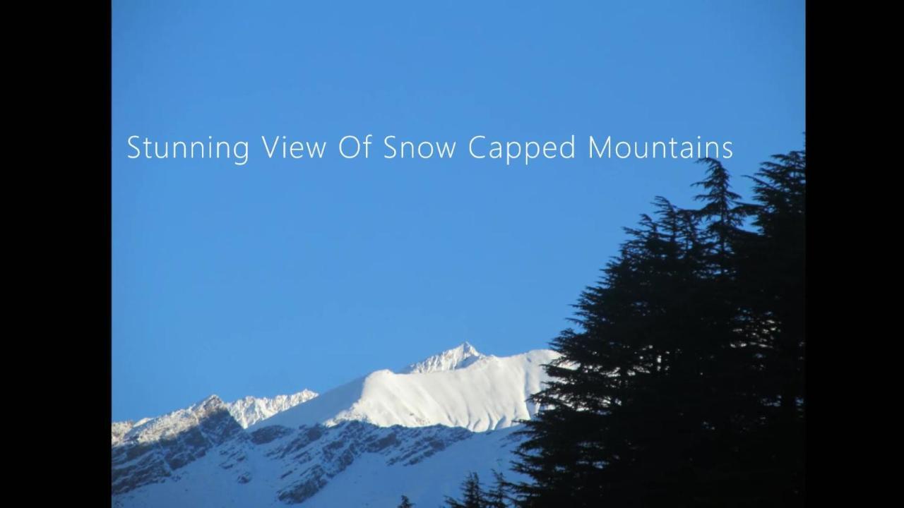 Manali Top Inn Guest house Manali (Himachal Pradesh)