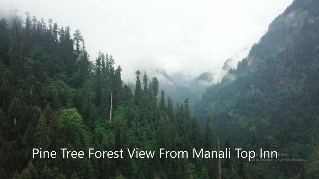 Manali Top Inn