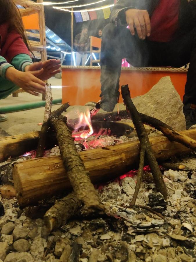 Backpackers Headquarter Manali (Himachal Pradesh)