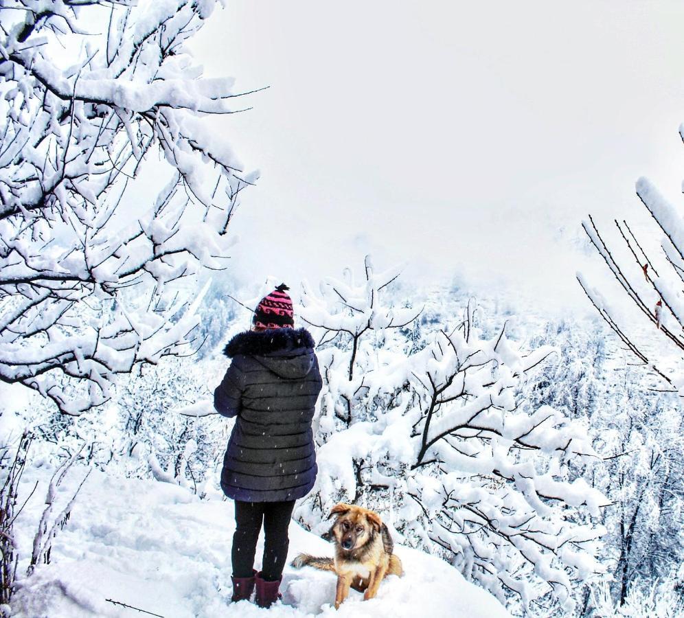 Possiville Manali (Himachal Pradesh)