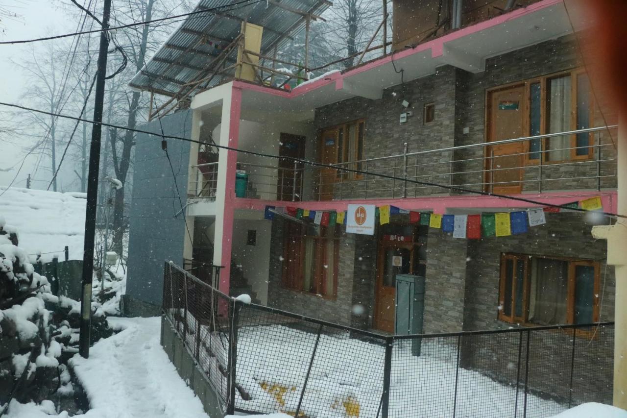 Hostel Backpackers Headquarter *